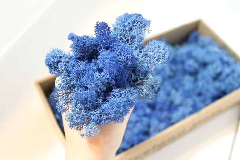 As blue as it gets, meet the Pantone color of the year 2020, Classic Blue 19-4052