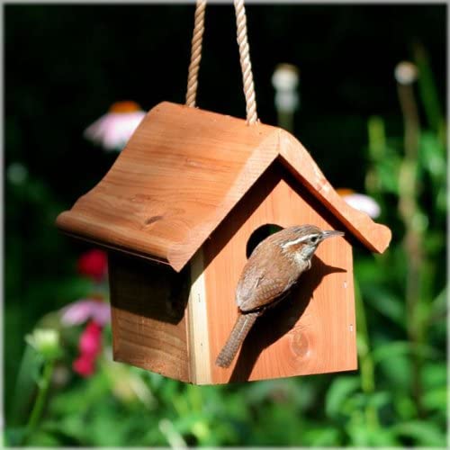 How to choose right birdhouse to attract nesting birds